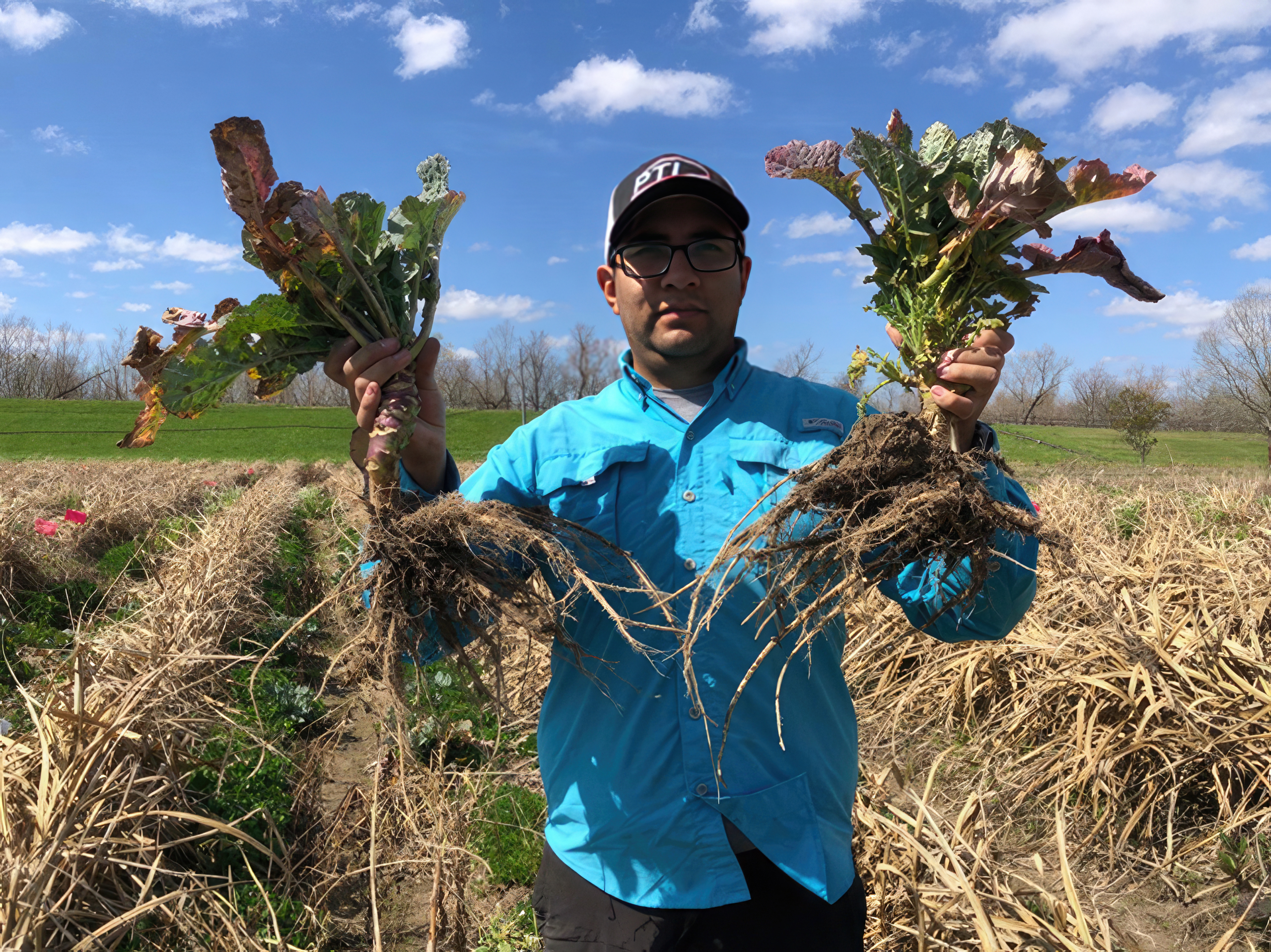 Planting Cover Crops for Healthier Soil 
